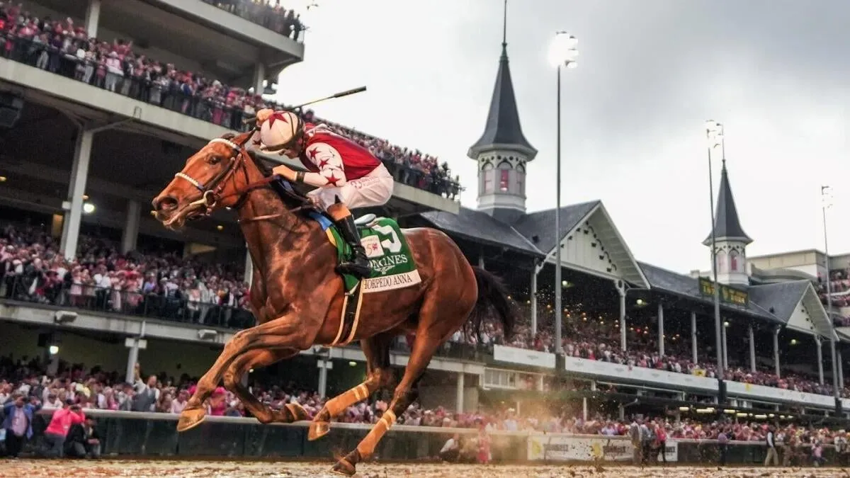 2025 Kentucky Derby: Expert Insights and Predictions for the 151st Run for the Roses