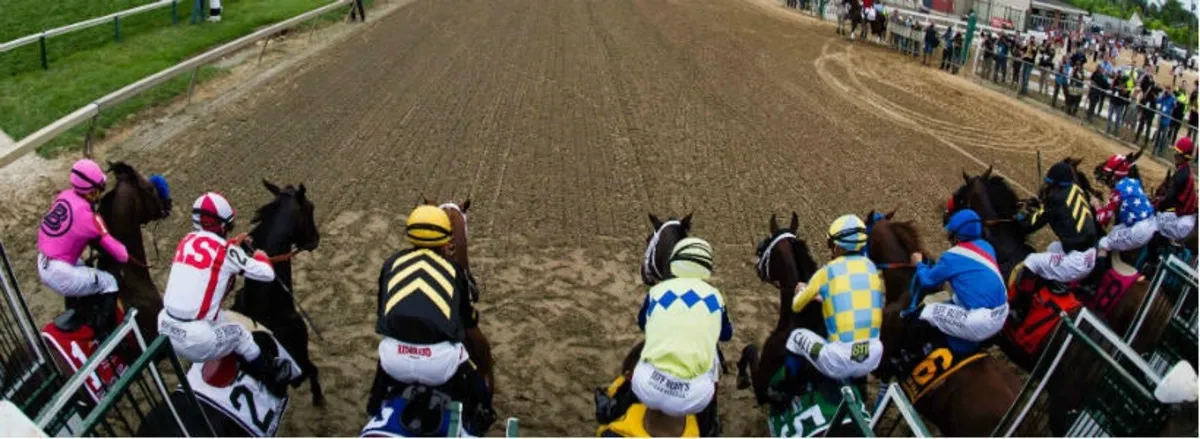 2025 Preakness Stakes: Insider Picks and Predictions You Can't Miss