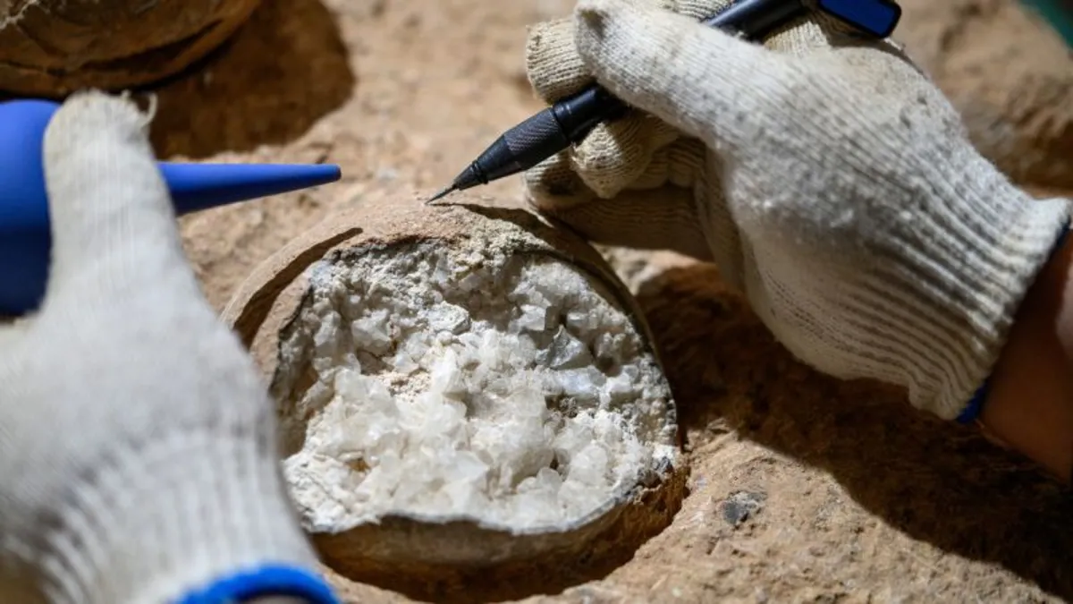 86 Million-Year-Old Dinosaur Eggs Discovered in China: A Breakthrough in Paleontology