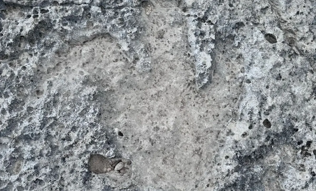Ancient Dinosaur Footprints Unearthed in Texas: A Paleontological Marvel