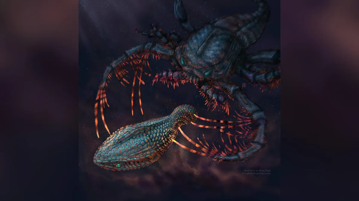 Ancient Fish Armor Reveals Secrets of Our Sensitive Teeth