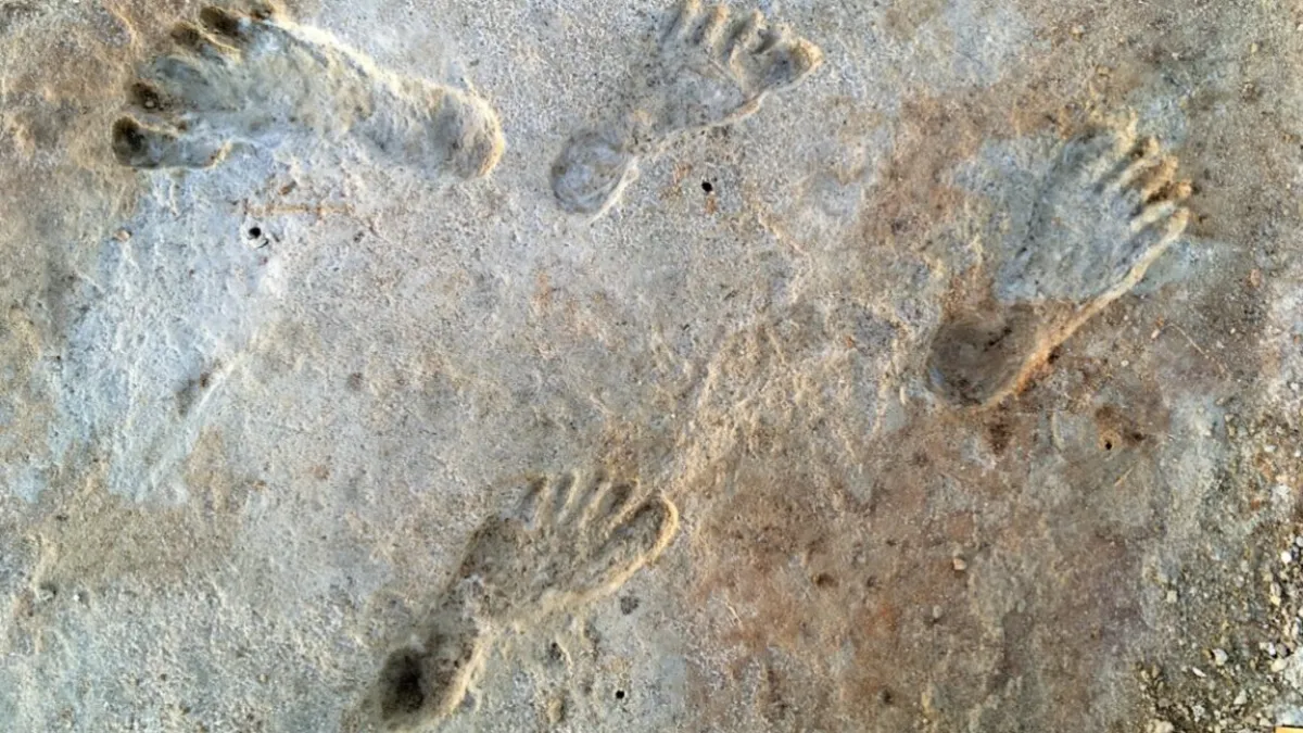 Ancient Footprints Challenge Timeline of First Americans