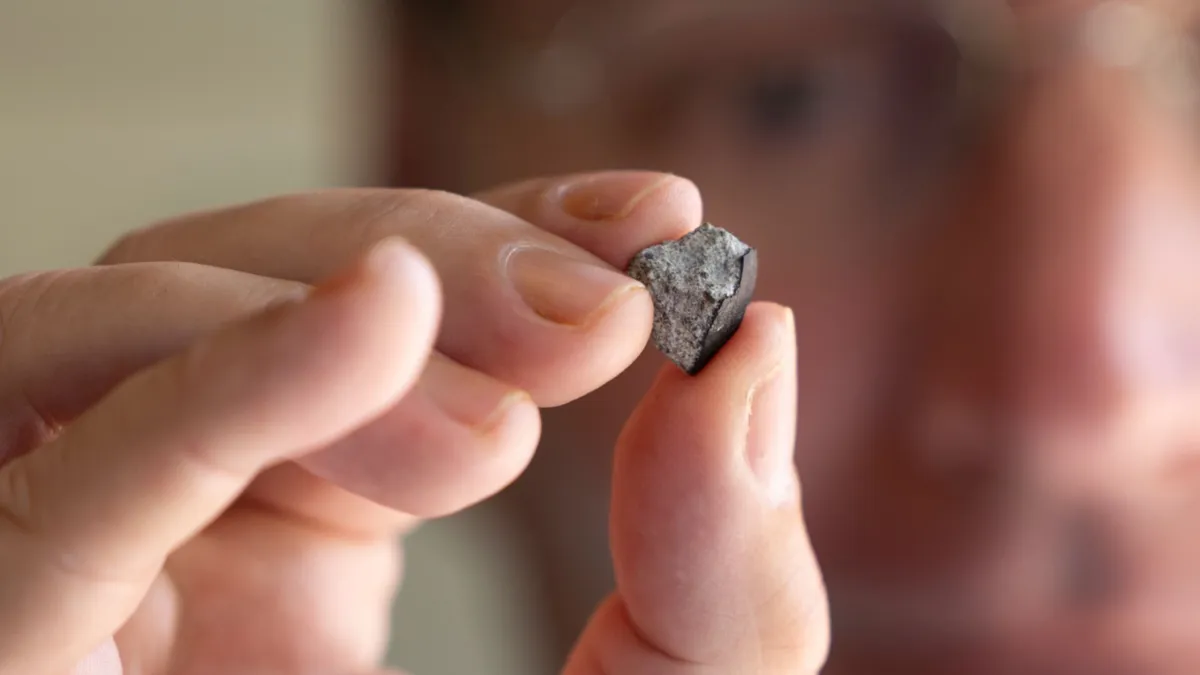 Ancient McDonough Meteorite: A Cosmic Treasure from Before Earth!