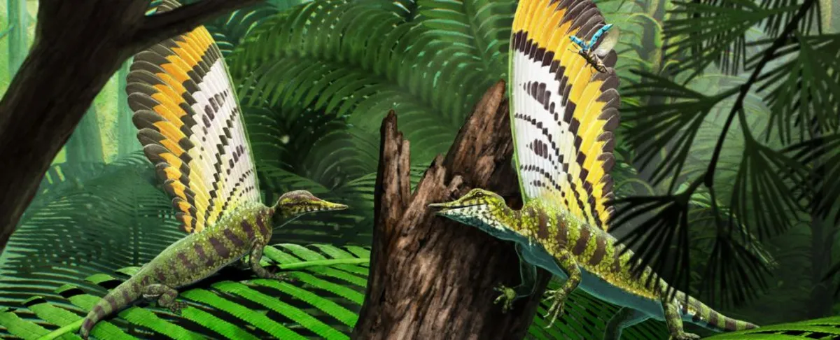 Ancient Reptile with Feathery Crest Shakes Up Paleontology