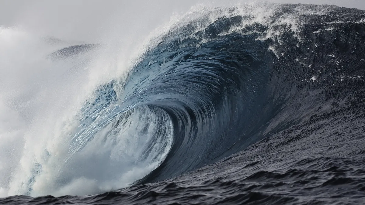 Ancient Tsunami Evidence Unearthed in Dinosaur-Age Amber in Japan