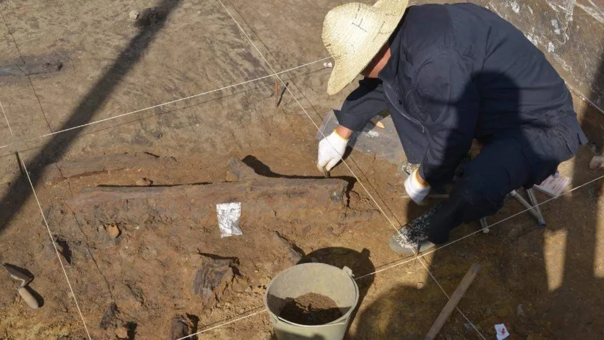 Ancient Wooden Tools Uncovered: A Glimpse into Early Human Life in China