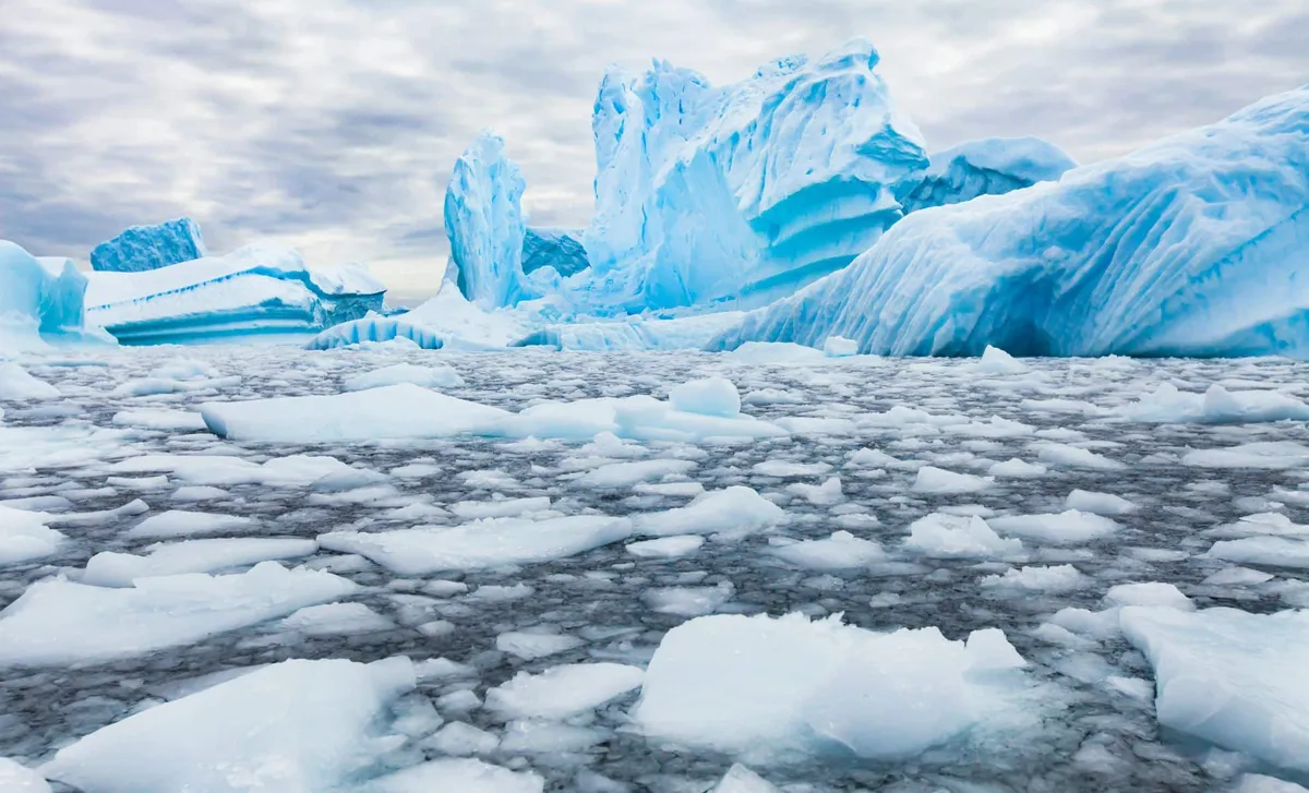 Antarctic Ice Sheet Surprises: A Remarkable Mass Gain in the Face of Climate Change