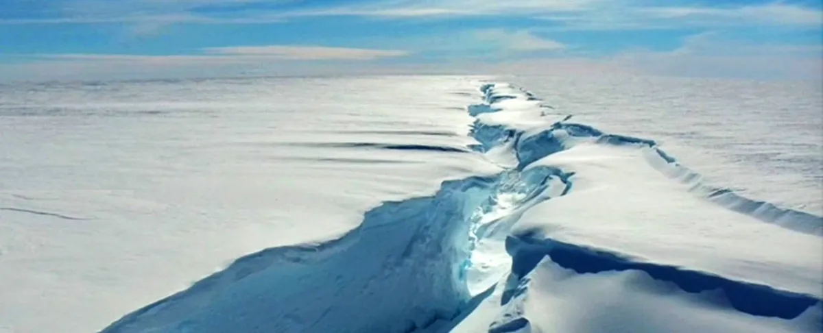 Antarctica’s Shocking Transformation: What You Need to Know