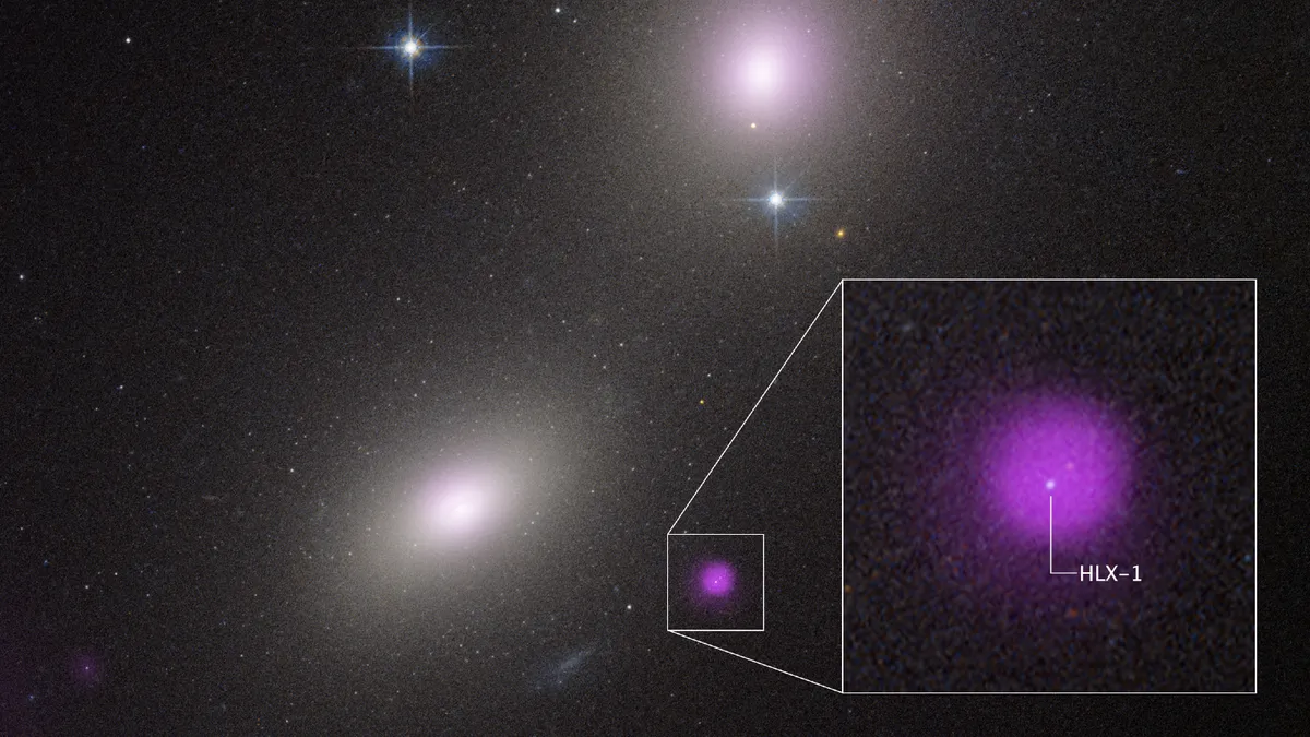 Astronomers Discover Rogue Black Hole Disrupting Distant Star