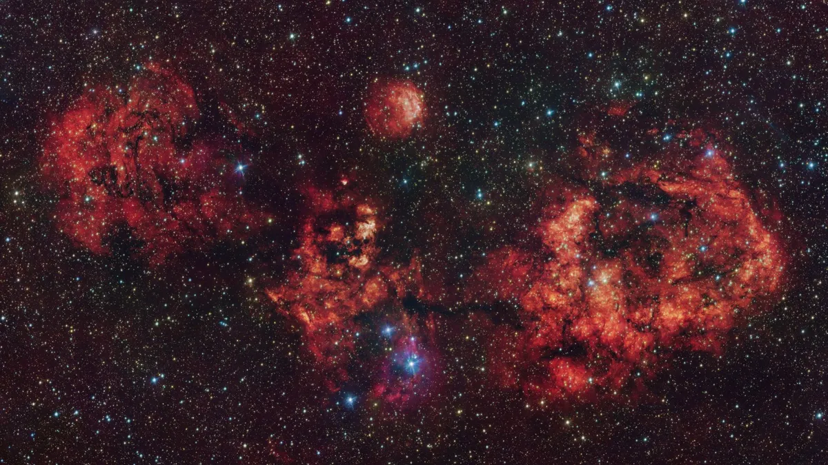 Astronomers Unveil Stunning Bat Nebula Just in Time for Halloween