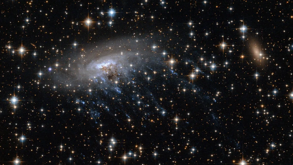 Astronomers Unveil Stunning 'Jellyfish' Galaxy 12 Billion Light-Years Away
