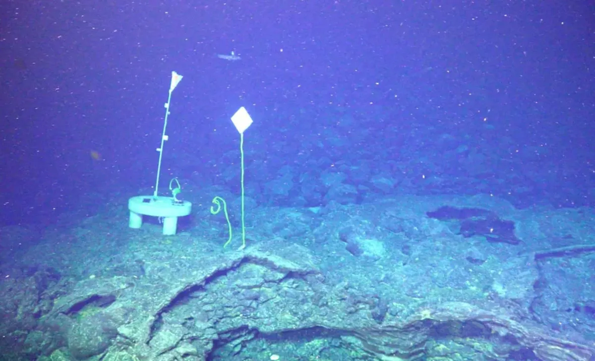 Axial Seamount: The Hidden Volcano Poised for Eruption