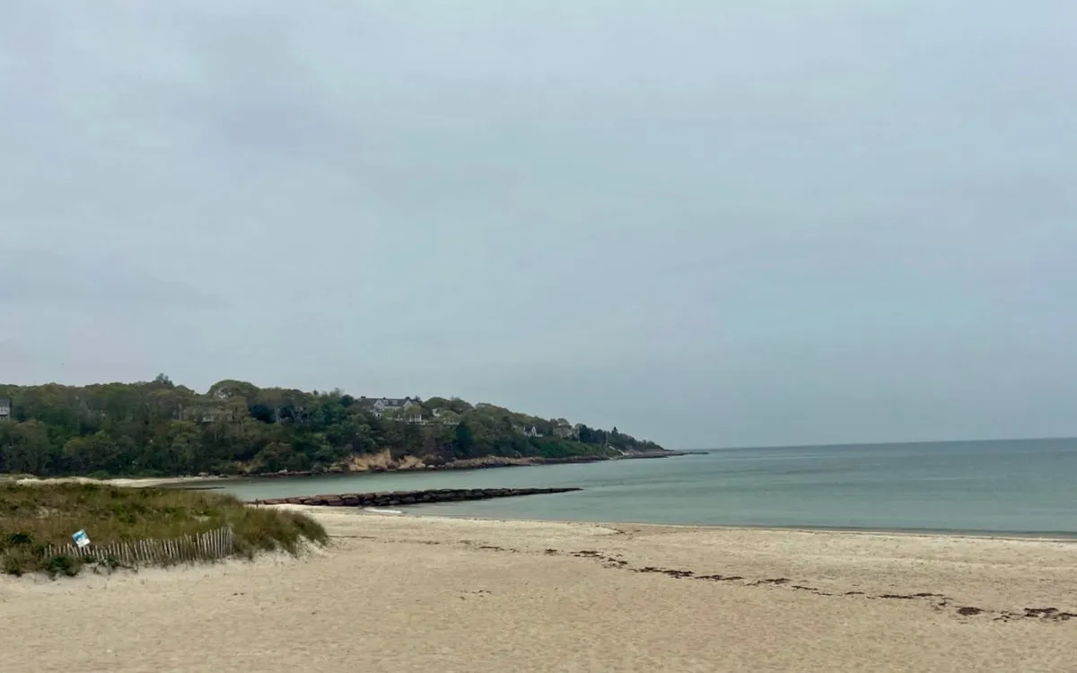 Beware the Hidden Danger: Vibrio Bacteria Threatens Coastal Waters in Massachusetts