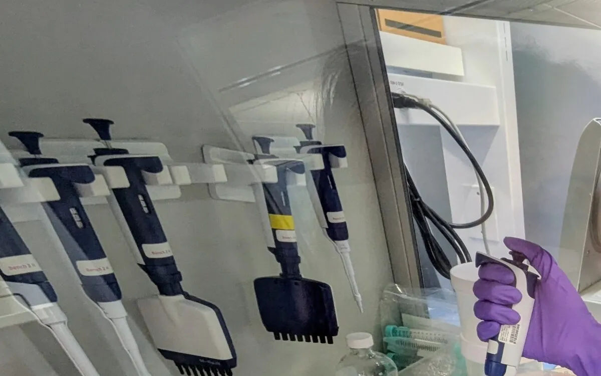 Breakthrough Discovery: How Pancreatic Tumors Outsmart the Immune System