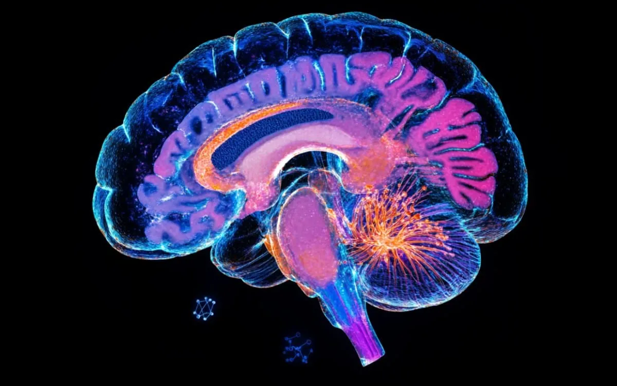 Breakthrough in Diagnosing Frontotemporal Dementia: Key Protein Changes Identified