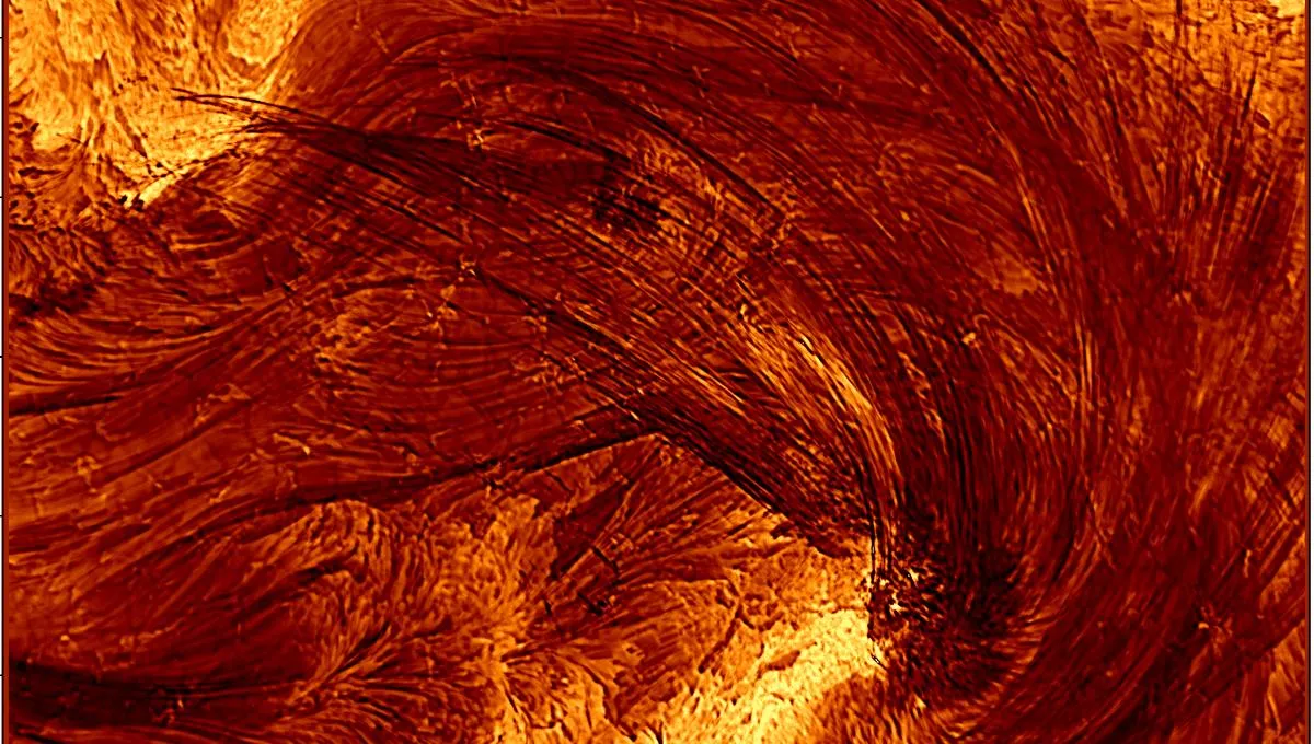 Breakthrough Insights: The Smallest Coronal Loops Ever Imaged on the Sun