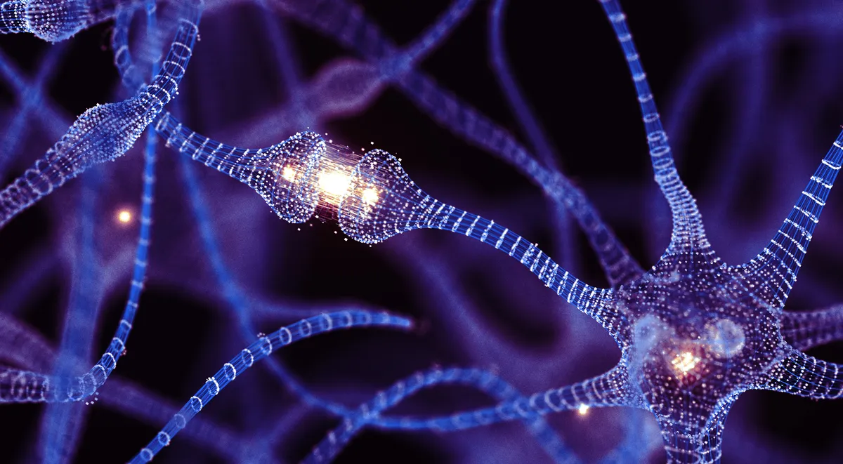 Breakthrough Study Reveals Adult Human Brains Can Grow New Neurons