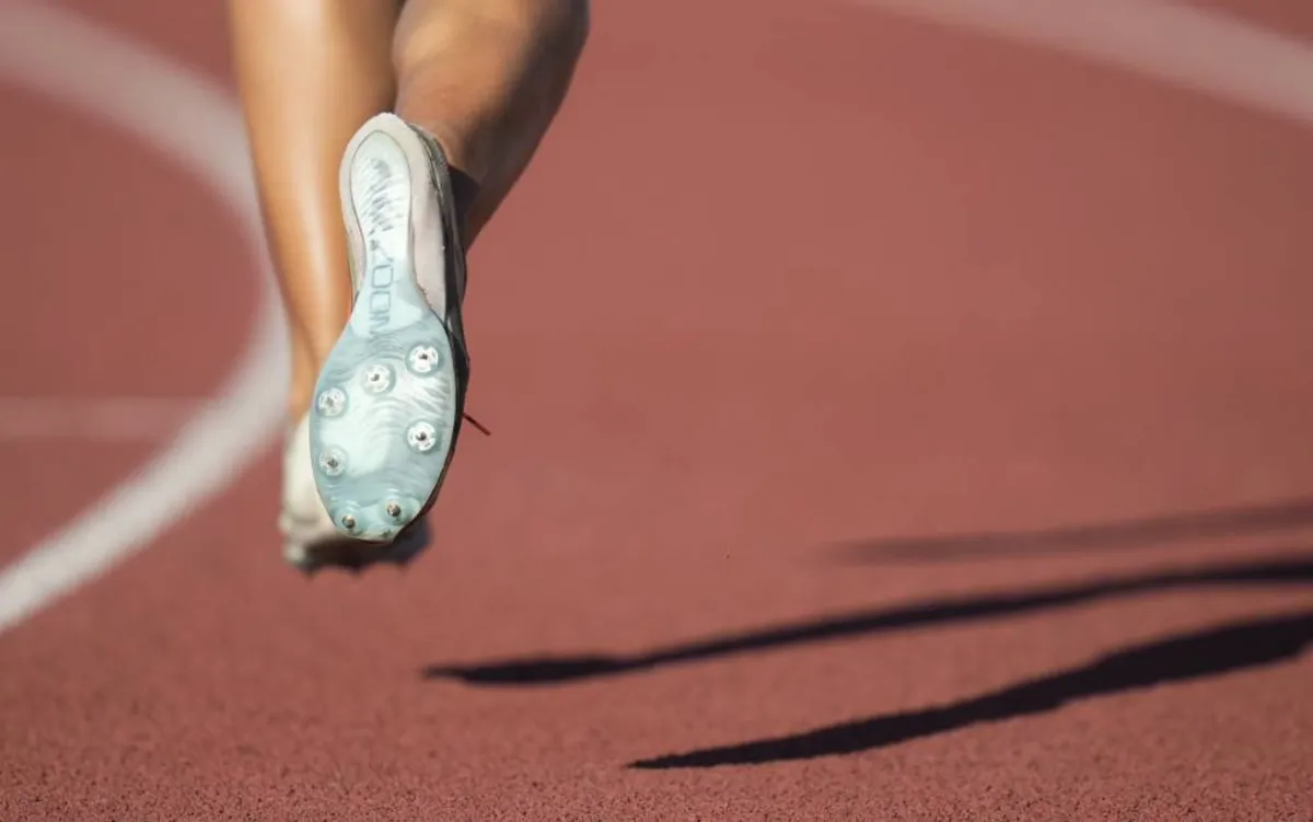 California High School Sports Body Responds to Trump’s Threat on Transgender Athletes