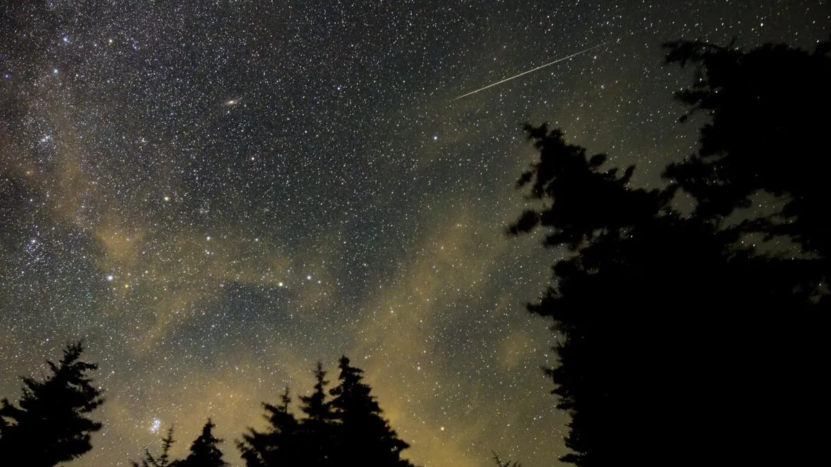 Catch the Celestial Show: Meteor Showers to Watch This Summer