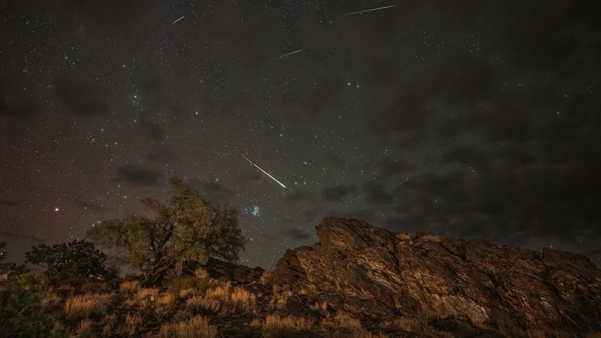 Catch the Perseids Meteor Shower: What You Need to Know!