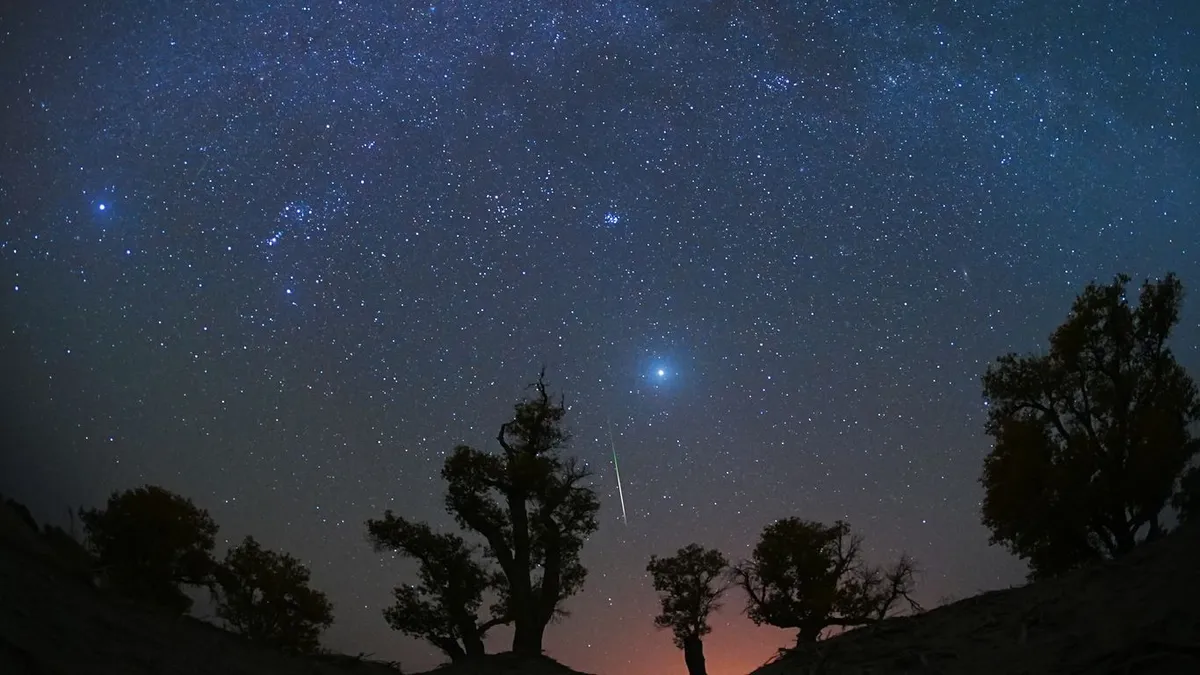 Catch the Spectacular Orionid Meteor Shower: A Celestial Show You Can't Miss!