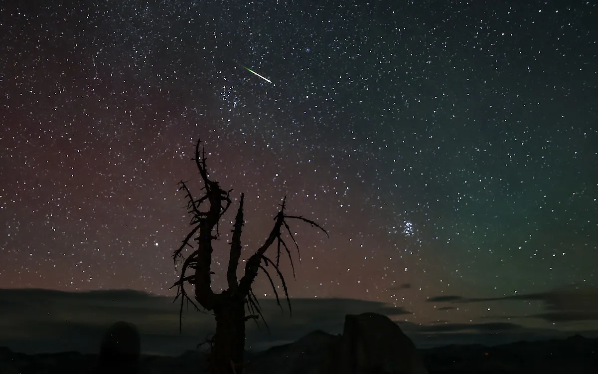 Catch the Spectacular Perseid Meteor Shower: A Celestial Show You Can't Miss!