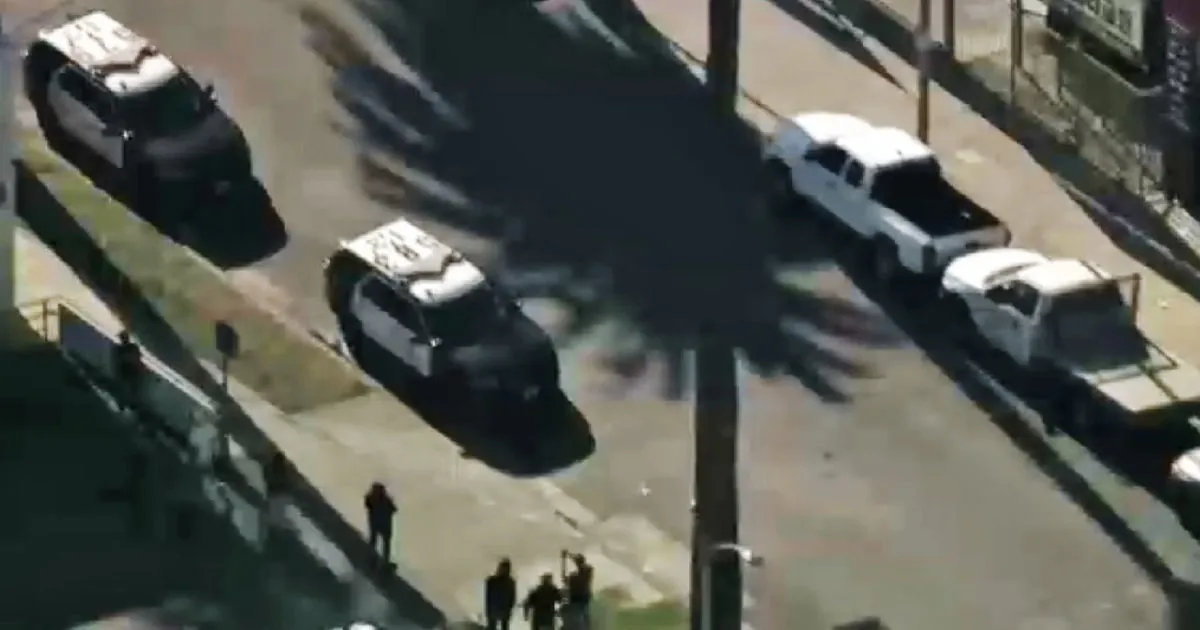 Chaos in Los Angeles: Federal Officers Fire Shots During Immigrant Arrest