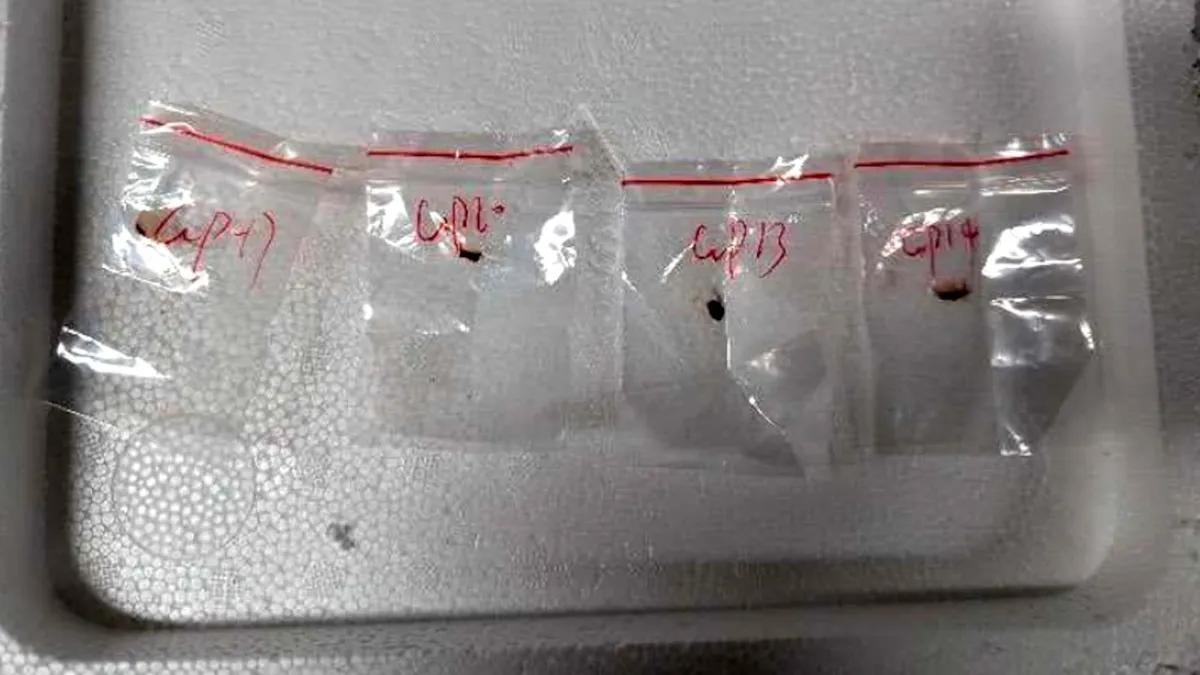 Chinese Nationals Charged with Smuggling Agroterrorism Weapon into the U.S.