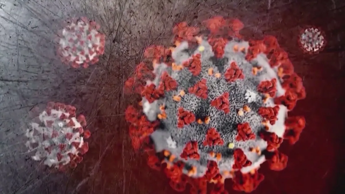 COVID-19 Infections Surge: What You Need to Know About the Summer Spike
