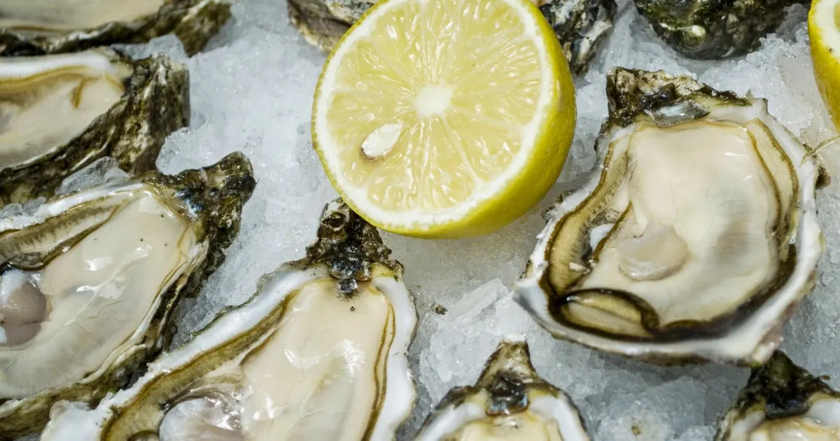 Deadly Flesh-Eating Bacteria Linked to Louisiana Oysters: What You Need to Know