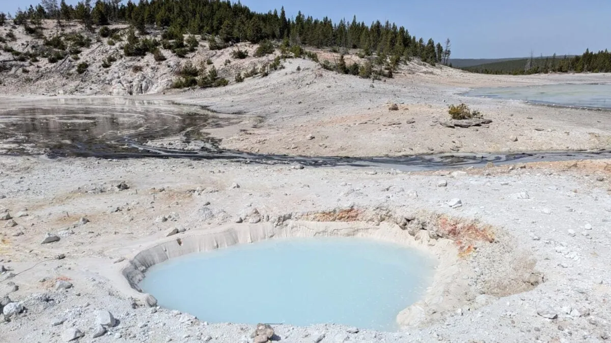 Discovering a Hidden Gem: New Thermal Pool Unveiled in Yellowstone's Norris Geyser Basin