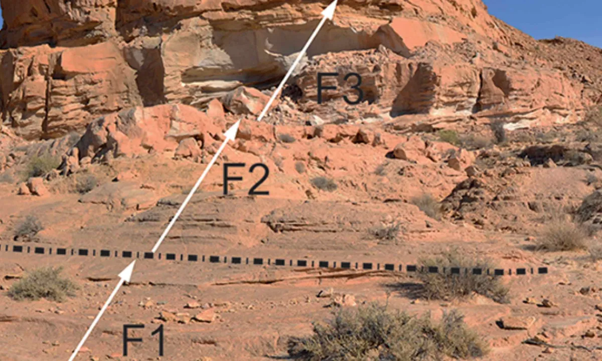 Discovering Cienciargentina sanchezi: The Oldest Rebbachisaurid Dinosaur