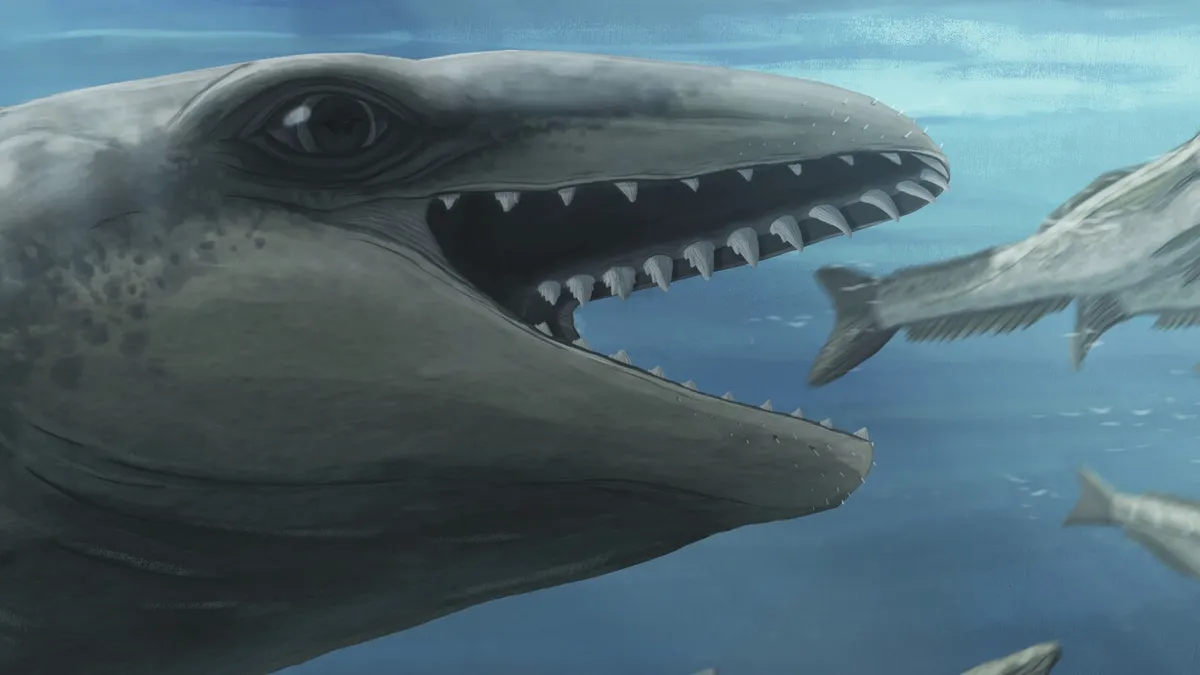 Discovering Janjucetus Dullardi: The Prehistoric Whale with a Pokémon Twist