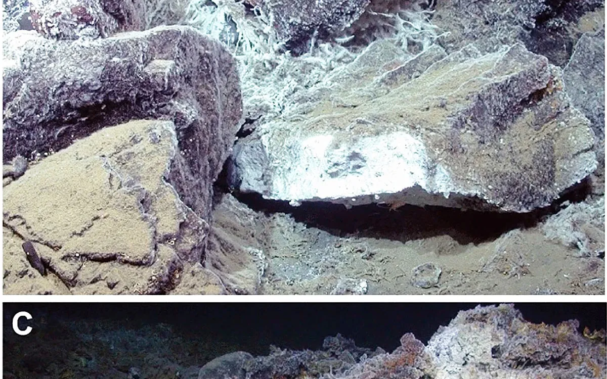 Discovering Jøtul: The Arctic's Hidden Hydrothermal Vent Field