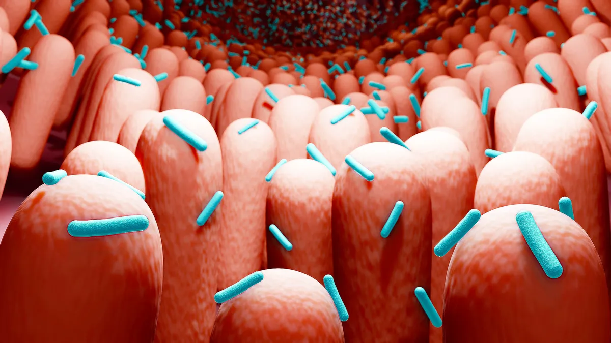 Discovering RNA Obelisks: A New Frontier in Human Microbiome Research