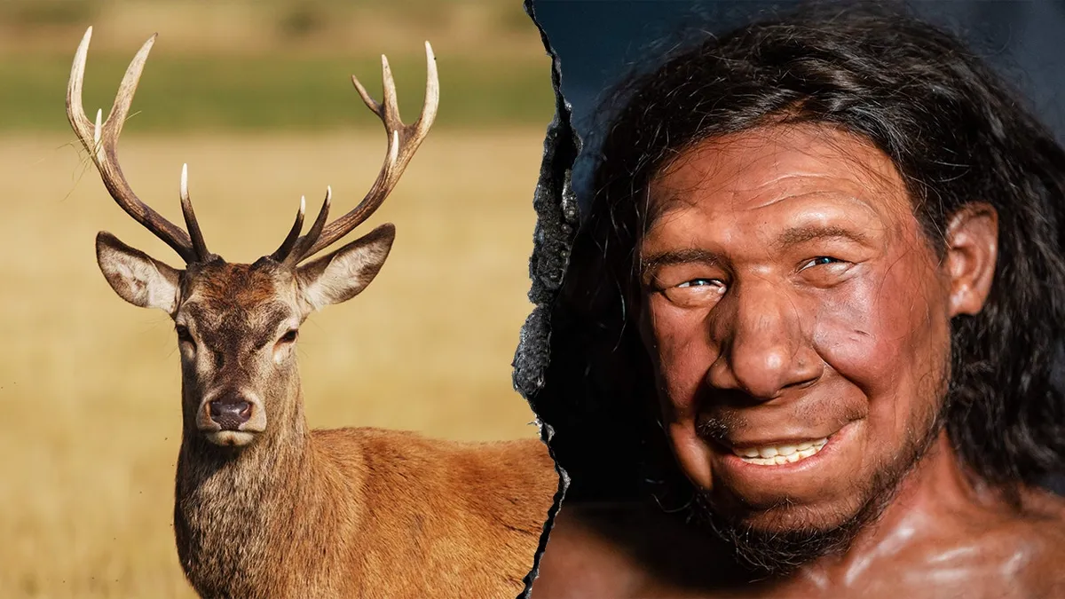 Discovering the Neanderthal 'Fat Factory': Ancient Culinary Techniques Revealed
