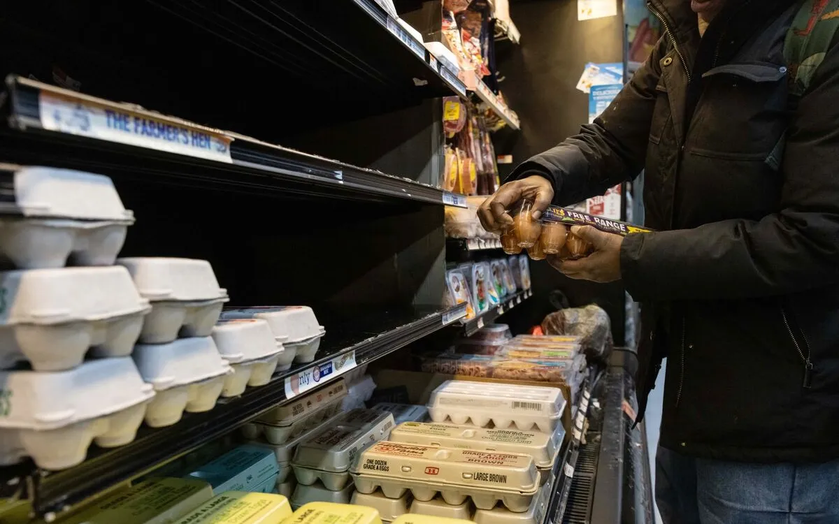 Egg Prices Plummet 18%: Relief for Consumers After Record Highs