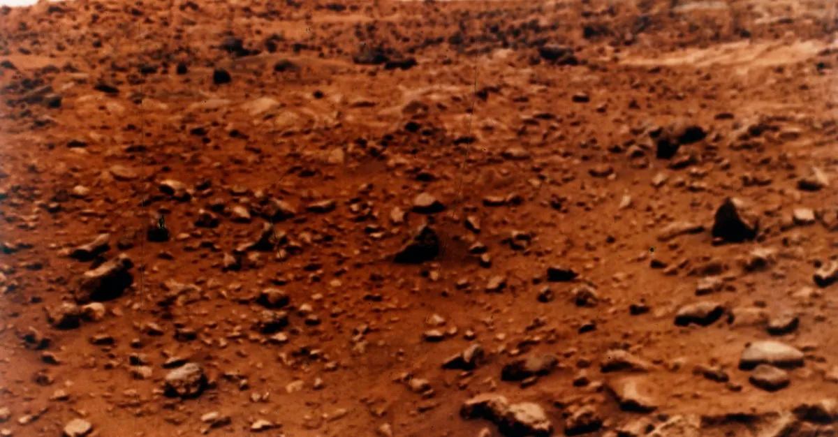 Elon Musk's Vision: A Million-Person City on Mars by 2050