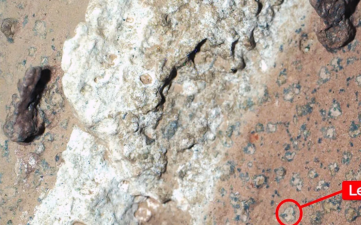 Exciting New Evidence Suggests Potential Life on Mars from NASA's Perseverance Rover