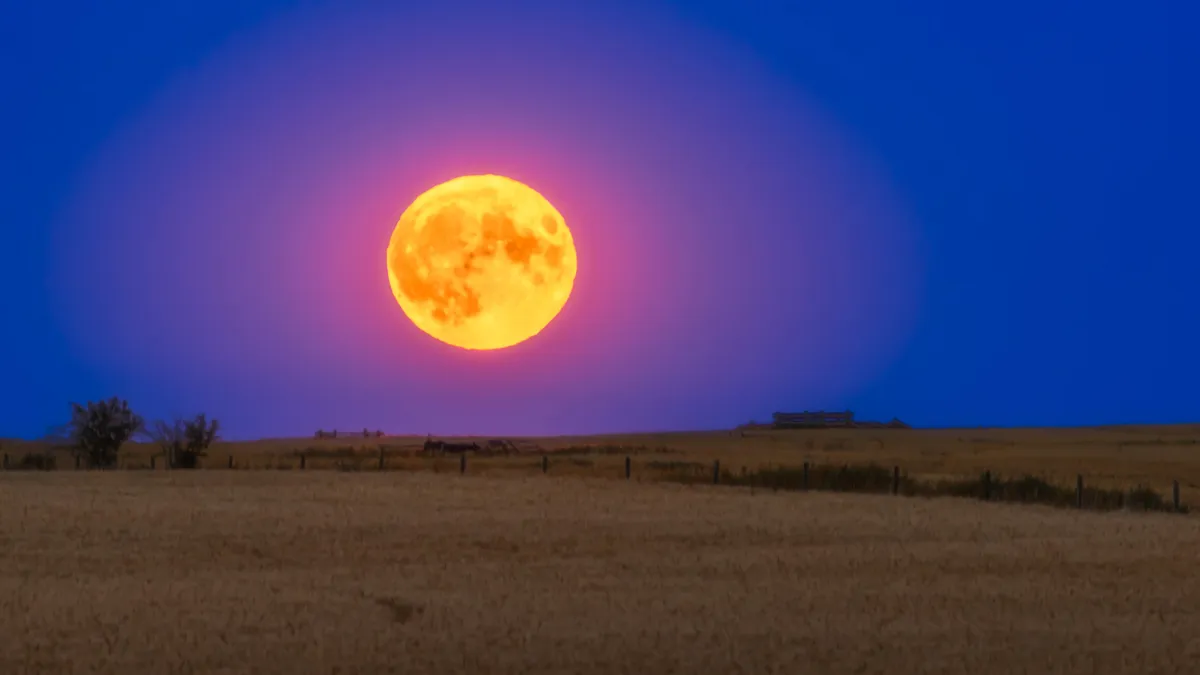 Experience the Buck Moon: The Summer's Lowest-Hanging Full Moon