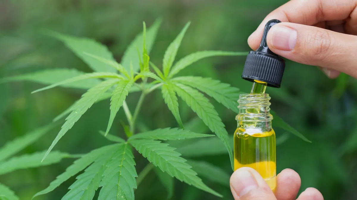 Exploring Cannabis: A Promising Alternative for Back Pain Relief