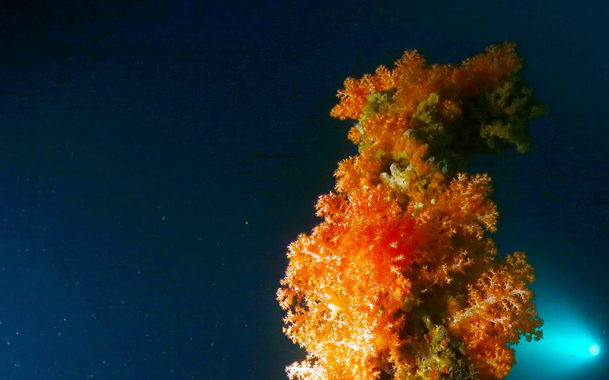 Exploring the Unseen: Only 0.001% of the Deep Seafloor Has Been Documented
