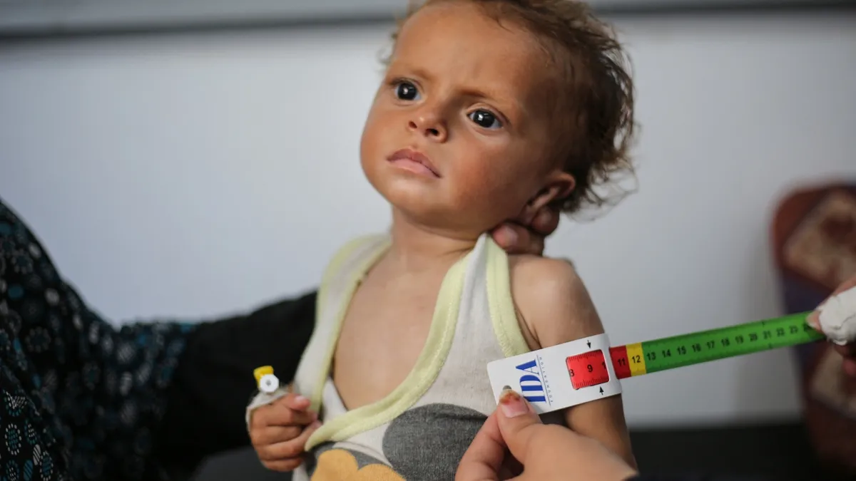 Famine Declared in Northern Gaza: Over Half a Million at Risk
