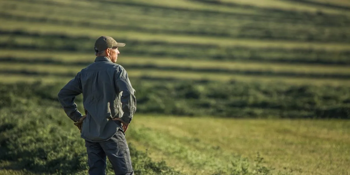 Farm Bankruptcies Surge Amid Falling Crop Prices and Trade Tensions