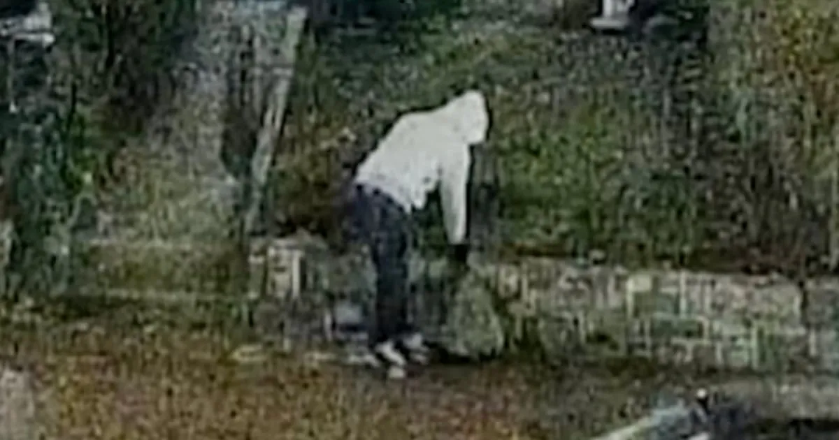 FBI Breakthrough: Suspect Arrested in Pipe Bomb Case Near Capitol