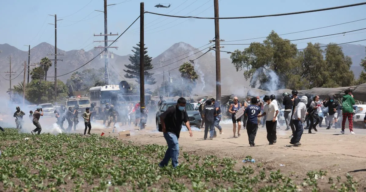 Federal Immigration Raids Spark Standoff at Ventura County Cannabis Farm