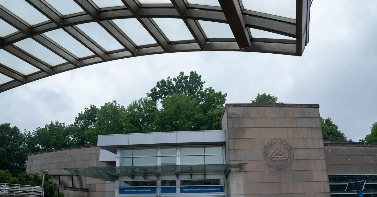 Federal Judge Rules Trump's NIH Grant Cancellations Illegal, Restores Funding for Diversity Research