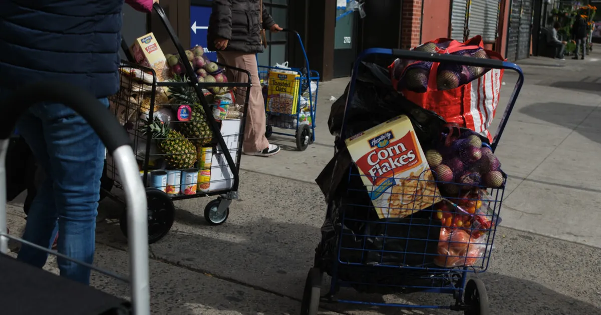 Federal Shutdown Threatens Food Assistance: What's Next for SNAP?
