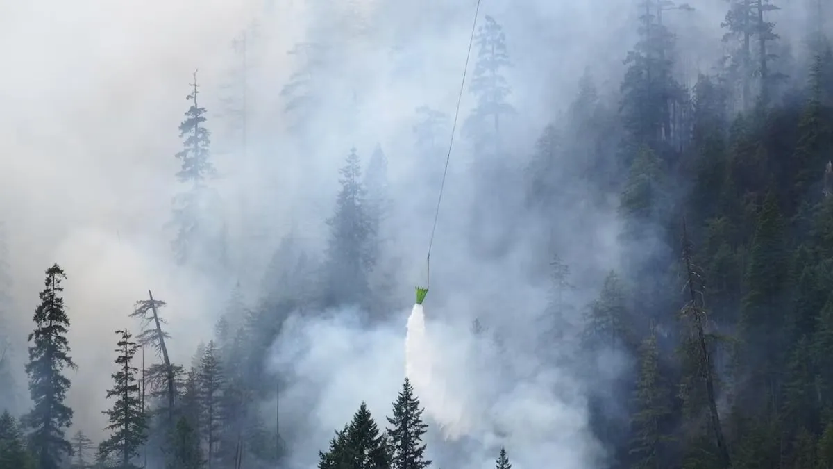Firefighter Arrested in Controversial Wildfire Operation on Olympic Peninsula