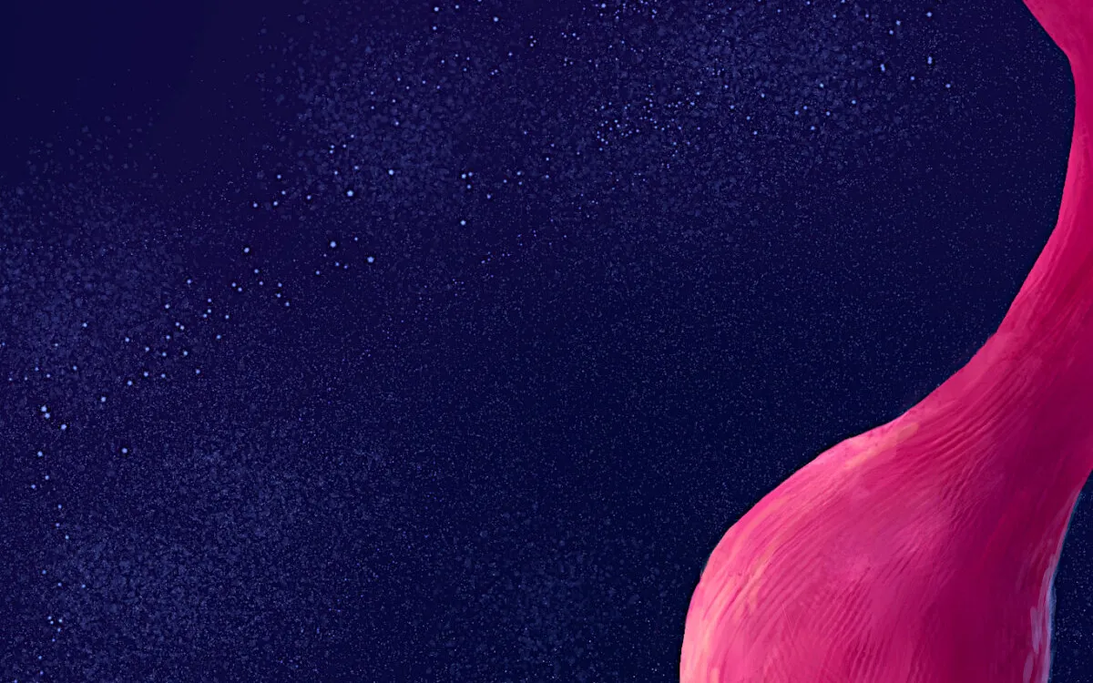 Flamingos: The Masters of Aquatic Hunting Unveiled